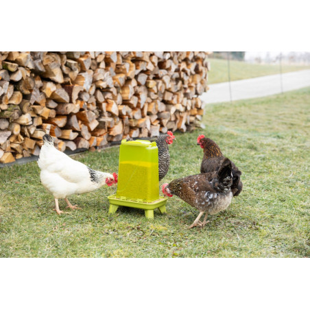 Foderautomat Rektangulär