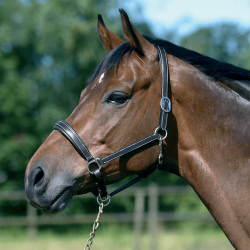 HS Lädergrimma - Brun