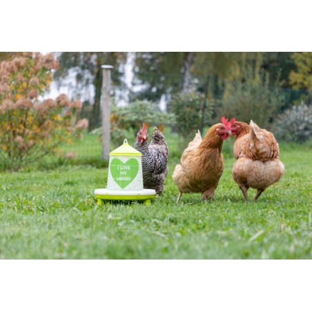 Foderautomat "I Love My Ladies"