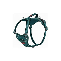 Halti Anatomy Sele, Teal - S