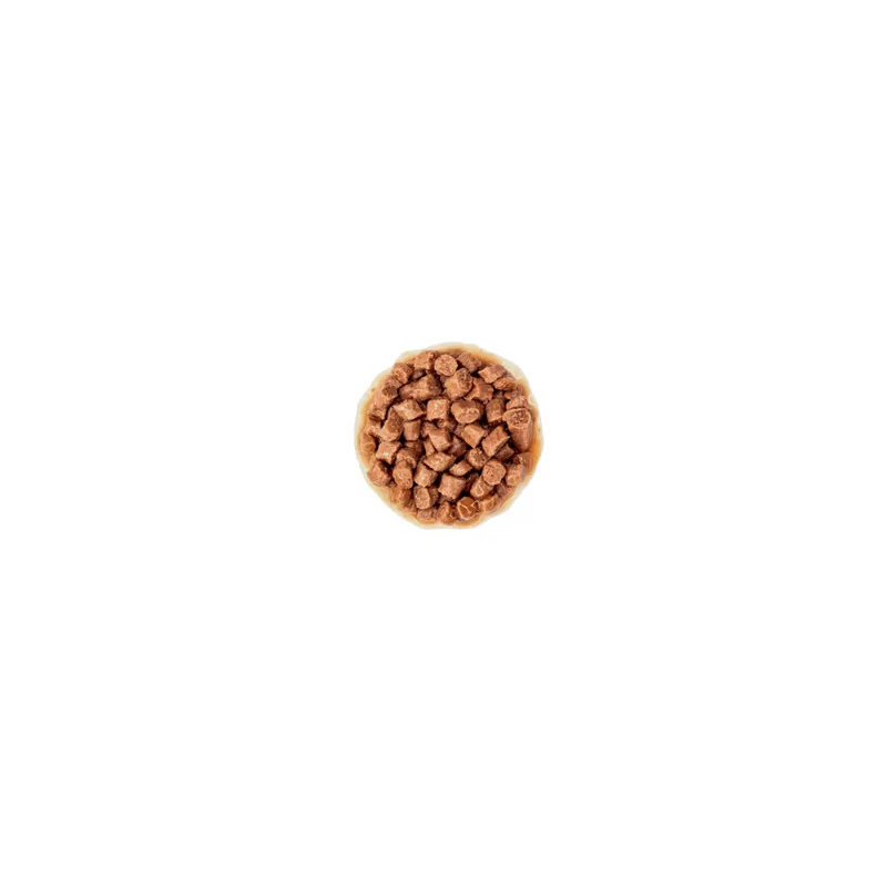 Royal Canin Kitten Gravy styck