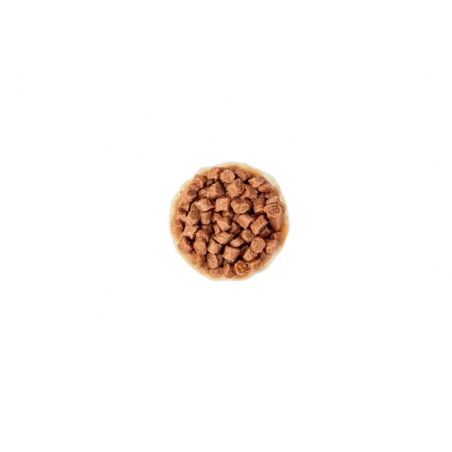 Royal Canin Kitten Gravy styck
