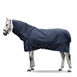 Lippo Basic Plus - 200g