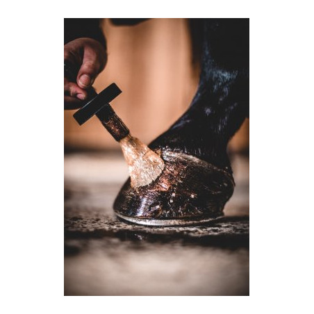 Nathalie Hoof Gel Deluxe - 450ml