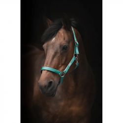 Grimma Horse Unique Basic 2