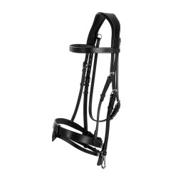 Lippo Träns Trainer