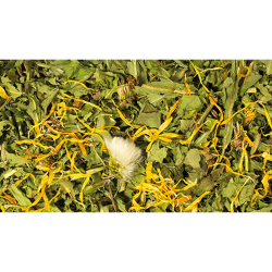 JR Farm Torkade Maskrosor 100g 2