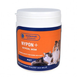 Biofarmab Nypon +msm 350g